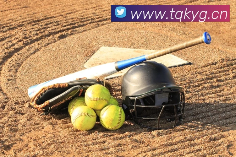 九游j9官网入口免费平台生态图