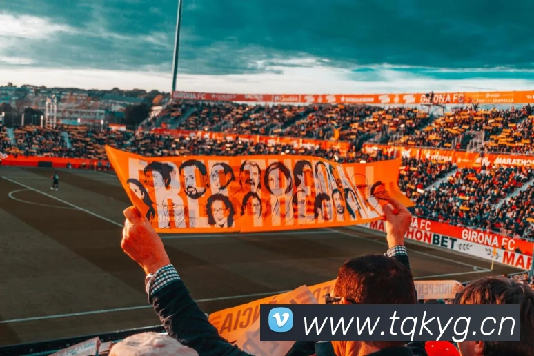 九游j9官网入口免费APP 封面图